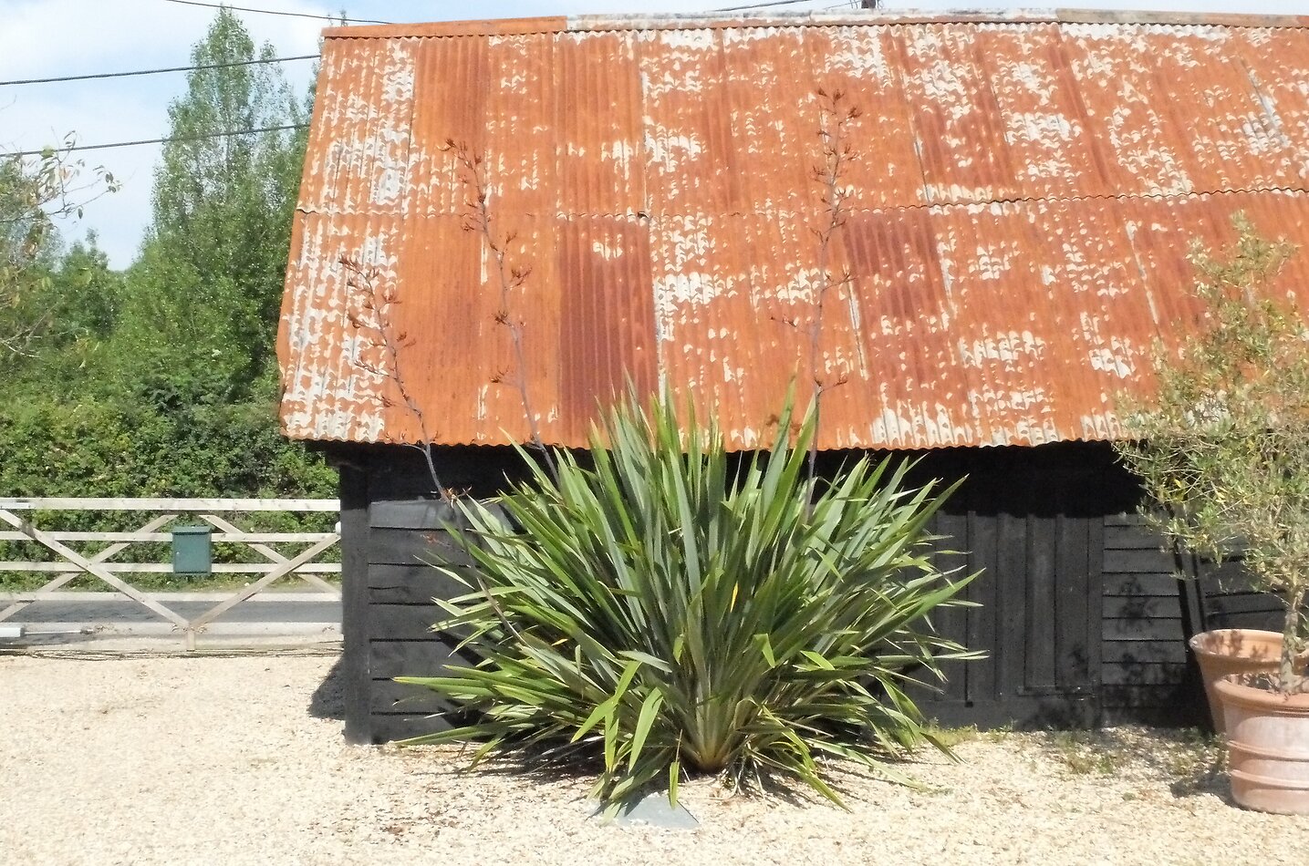 Manor Farm Hampshire
