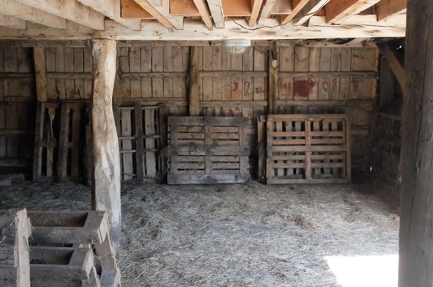 Manor Farm Hampshire