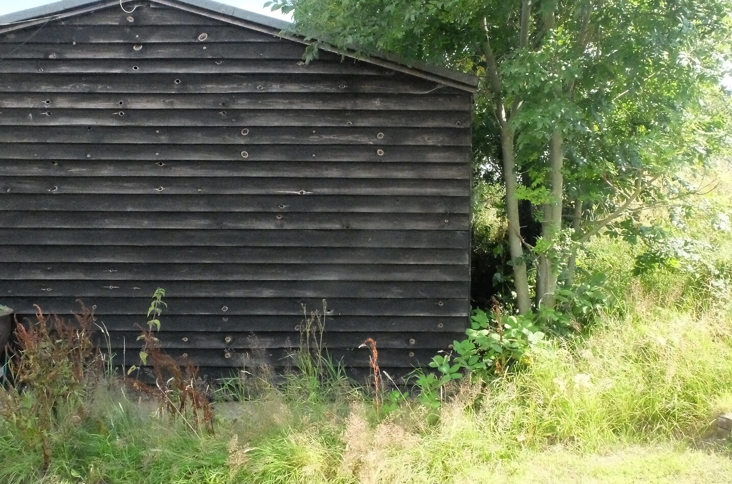 Manor Farm Hampshire