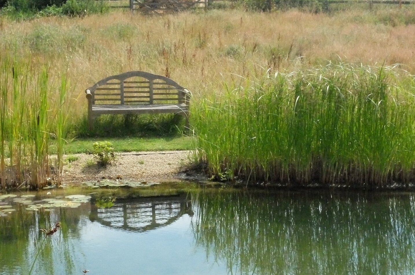 Manor Farm Hampshire