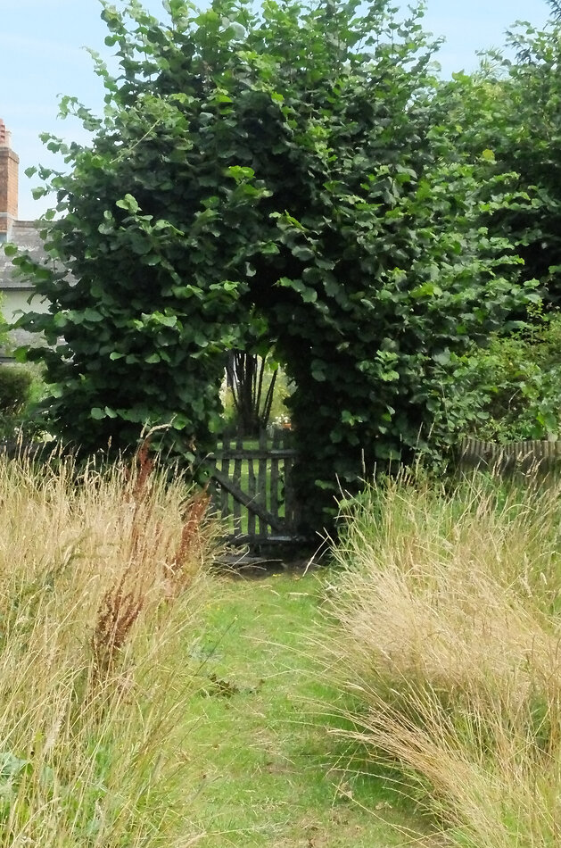 Manor Farm Hampshire
