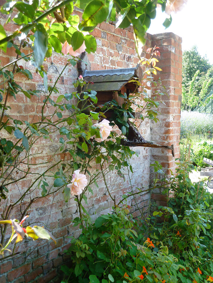 Manor Farm Hampshire