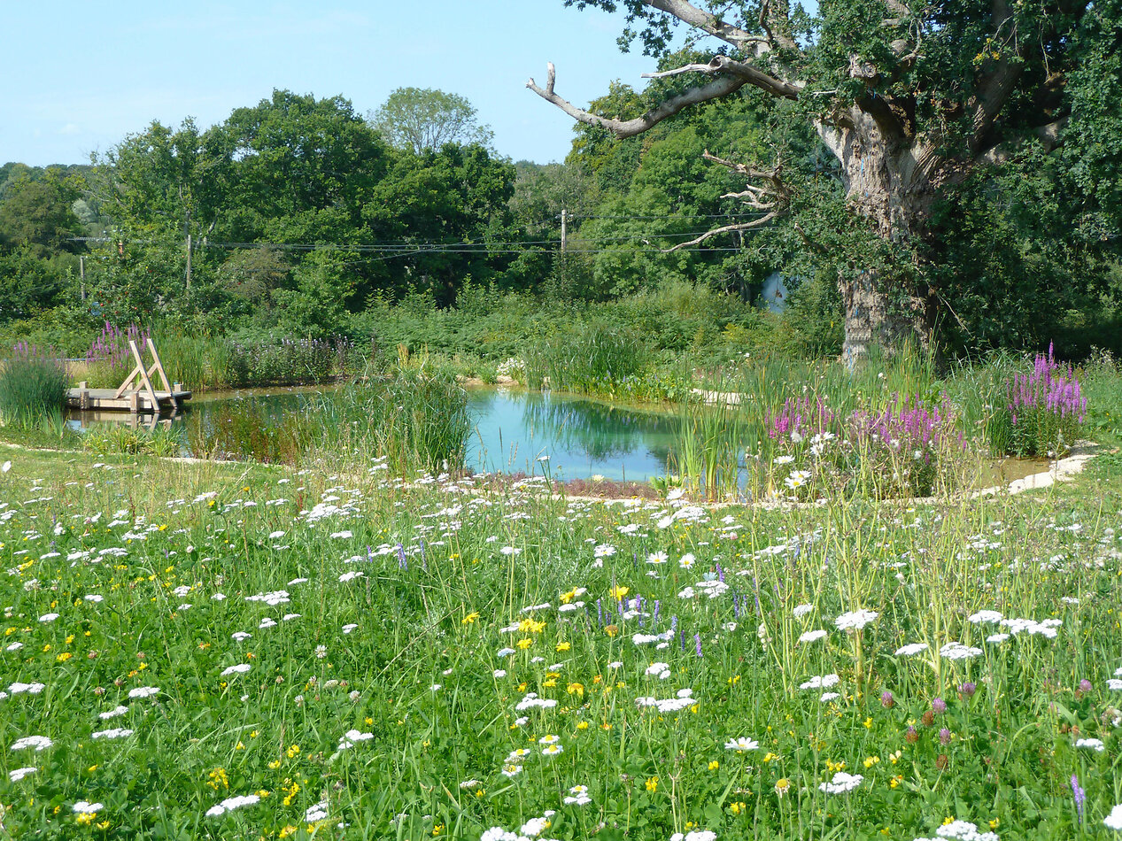 Manor Farm Hampshire