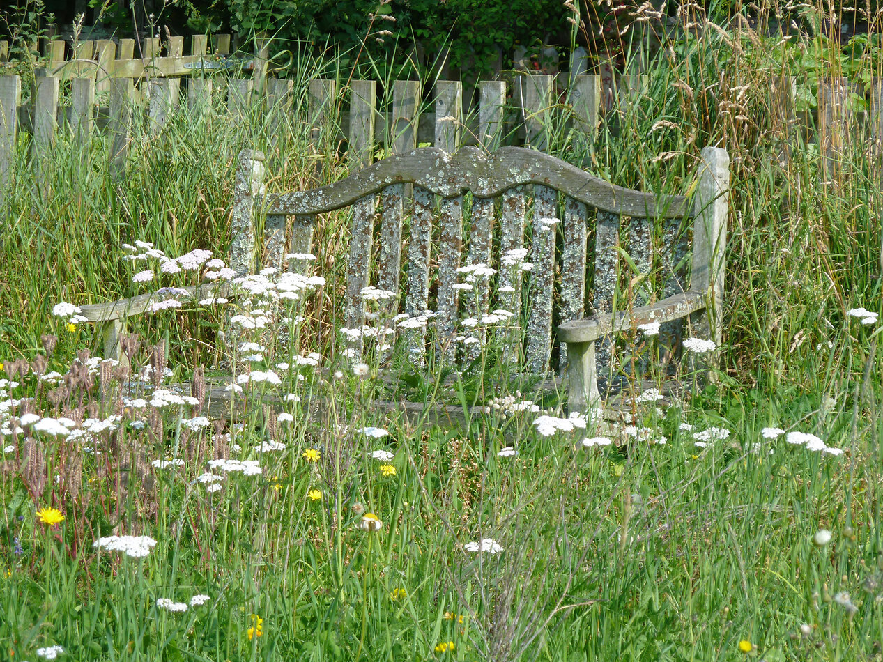 Manor Farm Hampshire