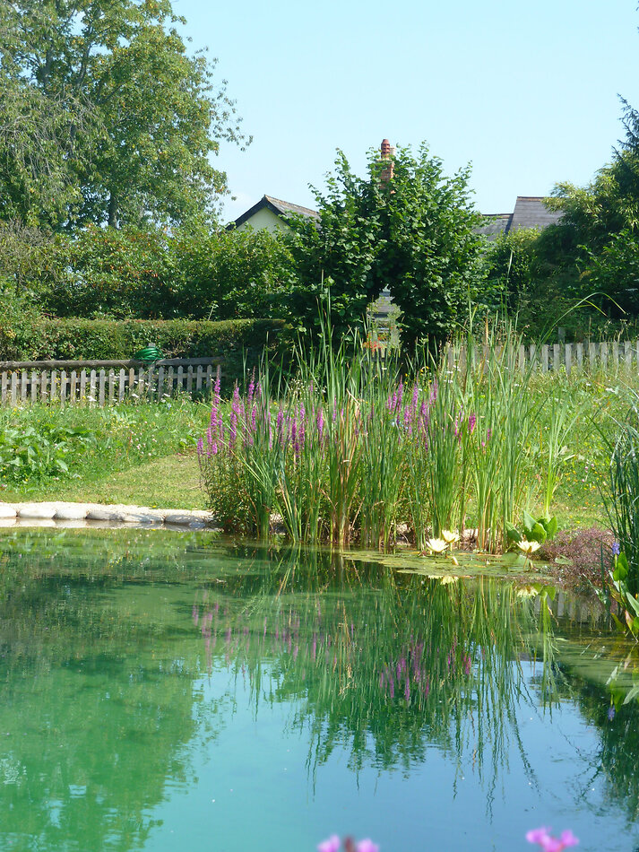 Manor Farm Hampshire
