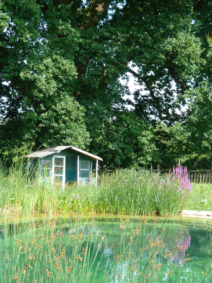 Manor Farm Hampshire