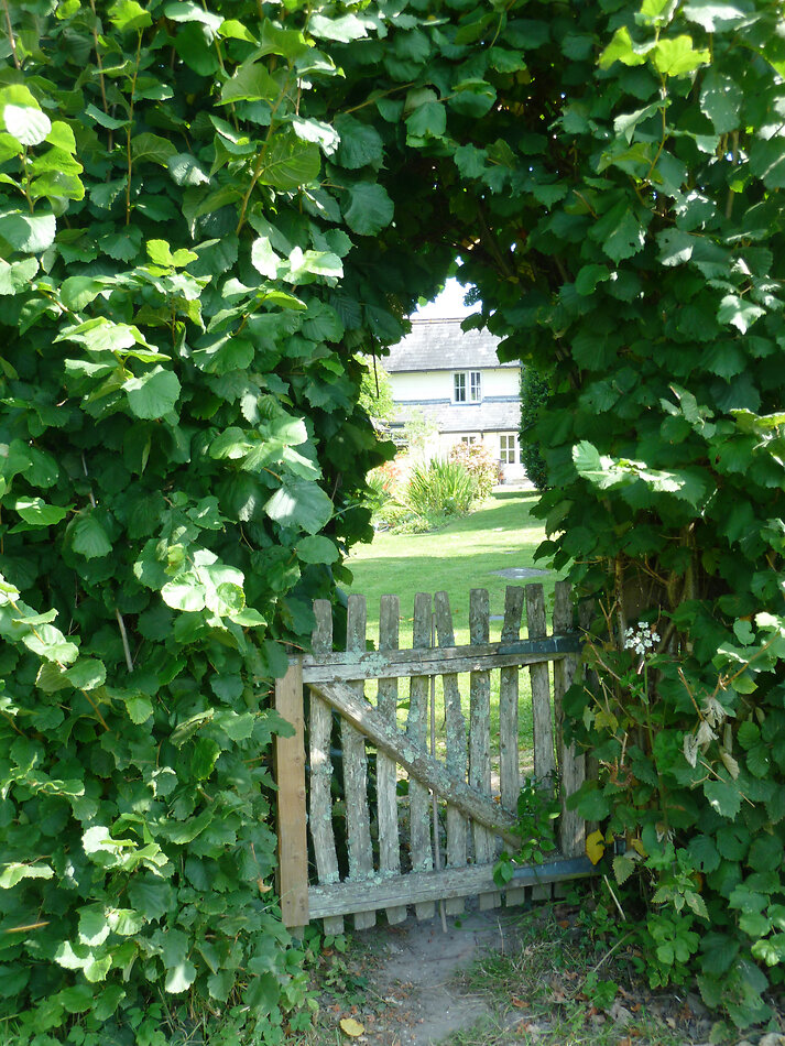 Manor Farm Hampshire