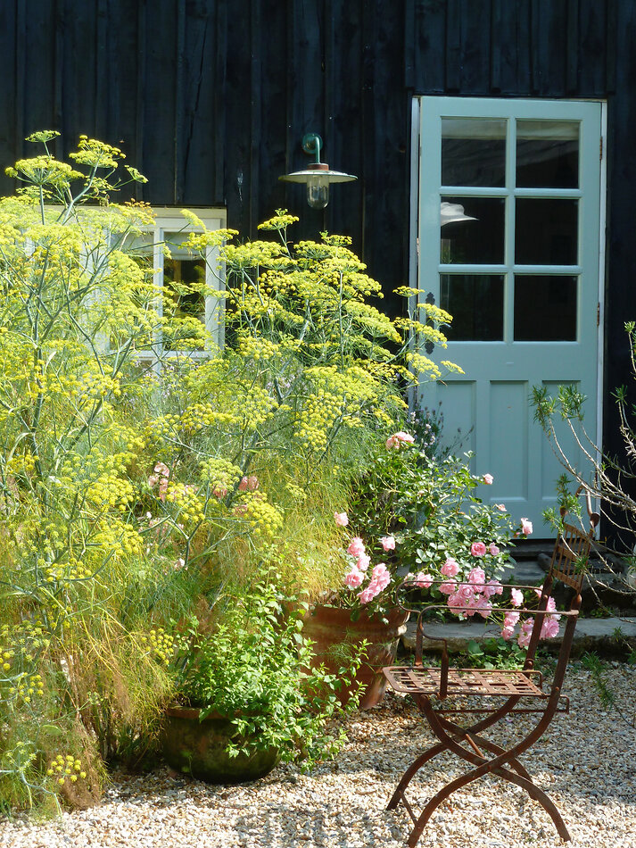Manor Farm Hampshire