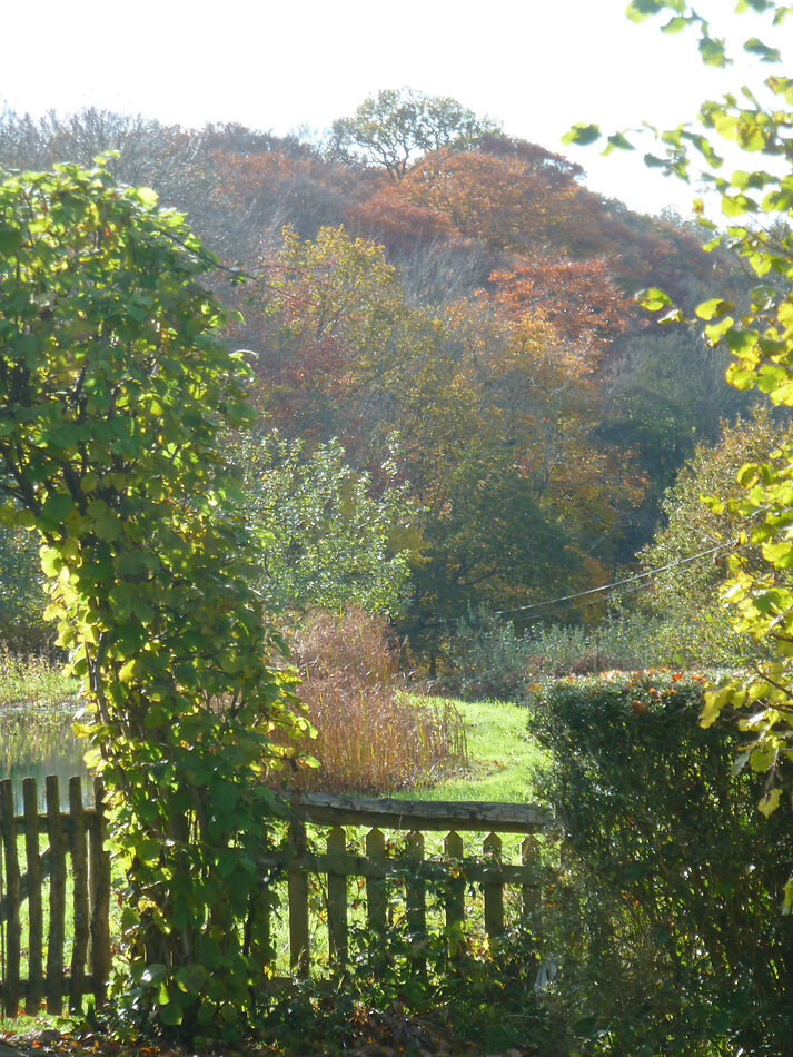 Manor Farm Hampshire