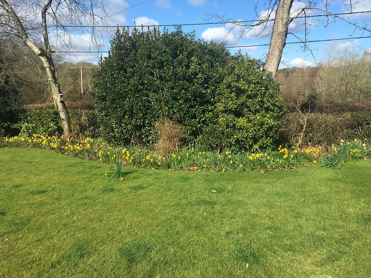 Manor Farm Hampshire