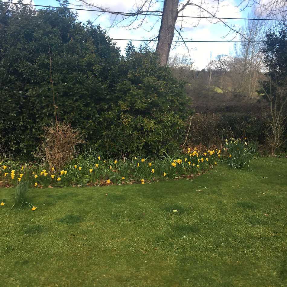 Manor Farm Hampshire