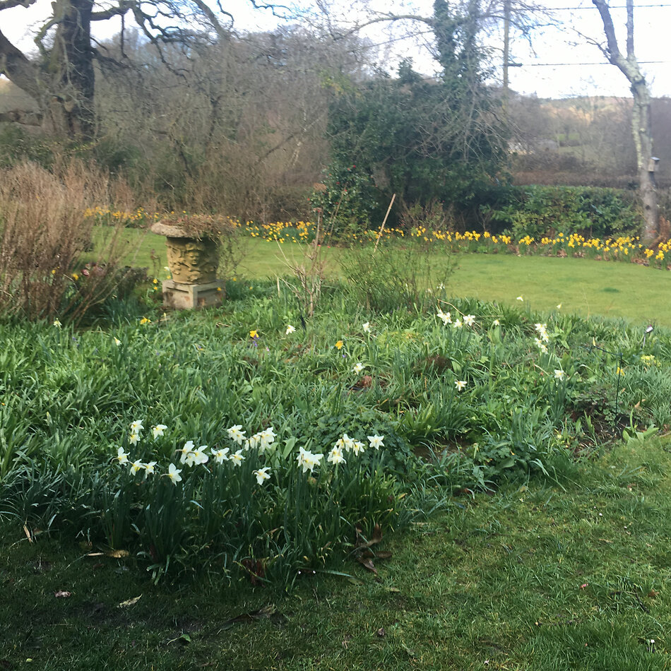 Manor Farm Hampshire
