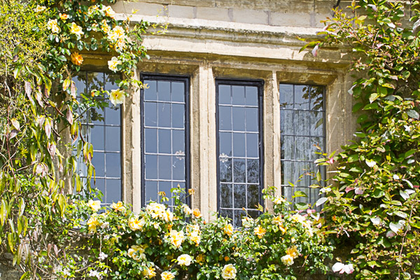 Manor House Wiltshire EXCLUSIVE