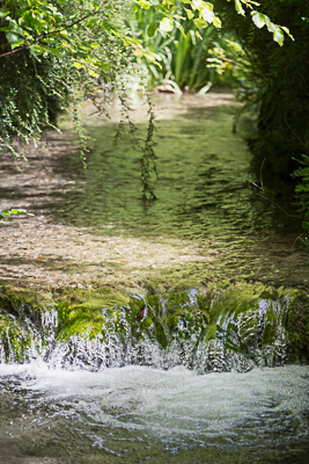 Manor House Wiltshire EXCLUSIVE