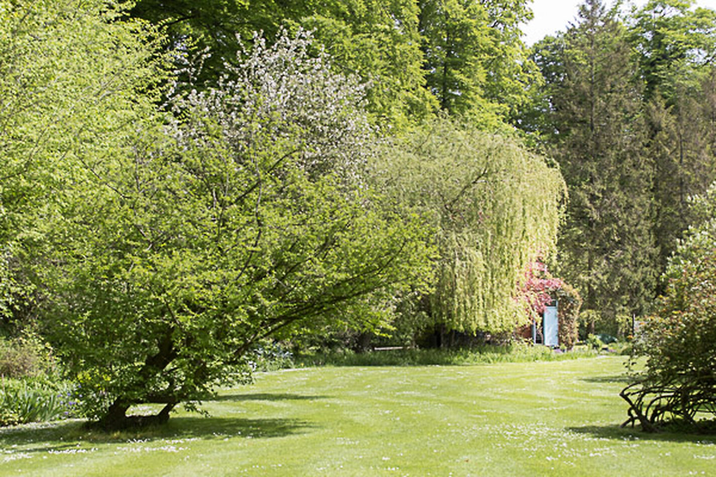 Manor House Wiltshire EXCLUSIVE