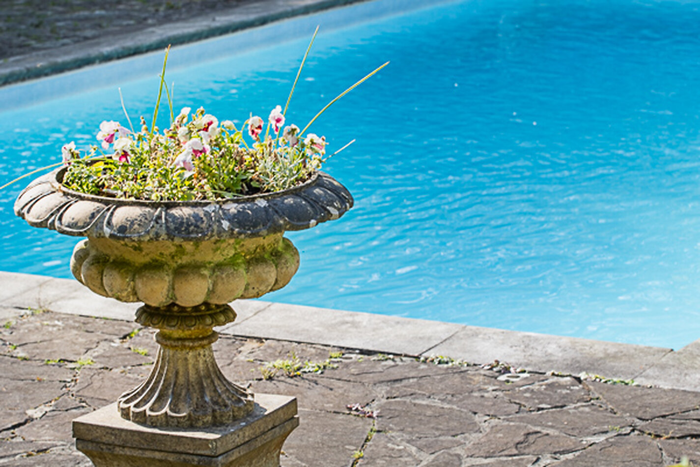 Manor House Wiltshire EXCLUSIVE