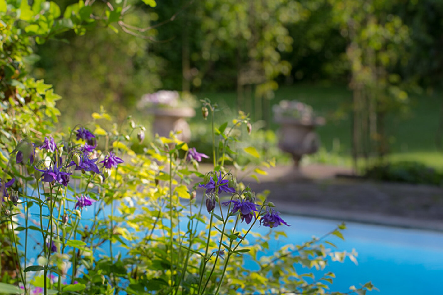 Manor House Wiltshire EXCLUSIVE