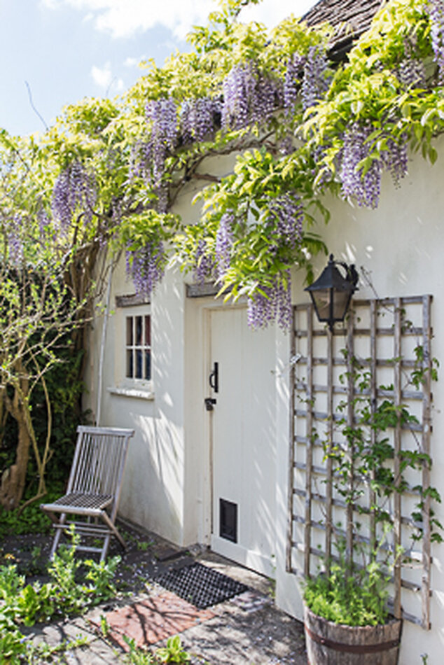 Manor House Wiltshire EXCLUSIVE