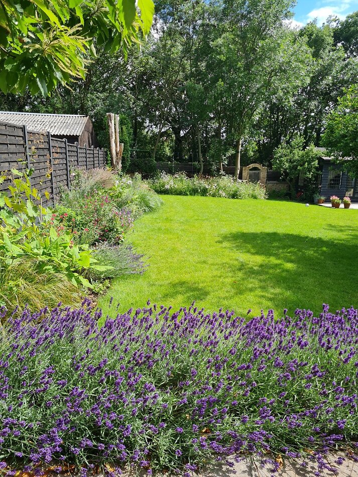 Acorn E17