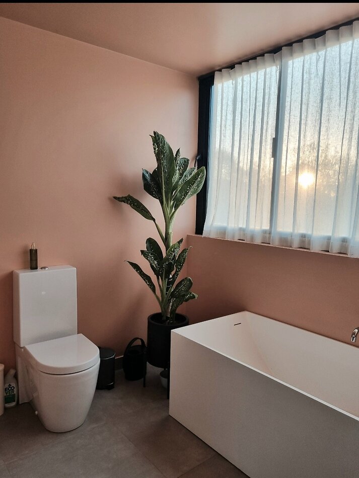 Acorn E17