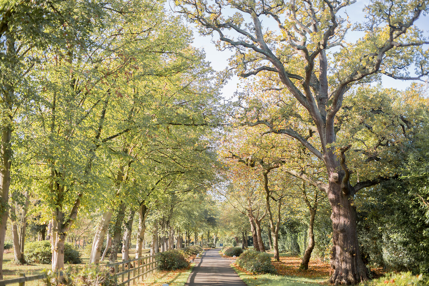 Taplow House - SL6