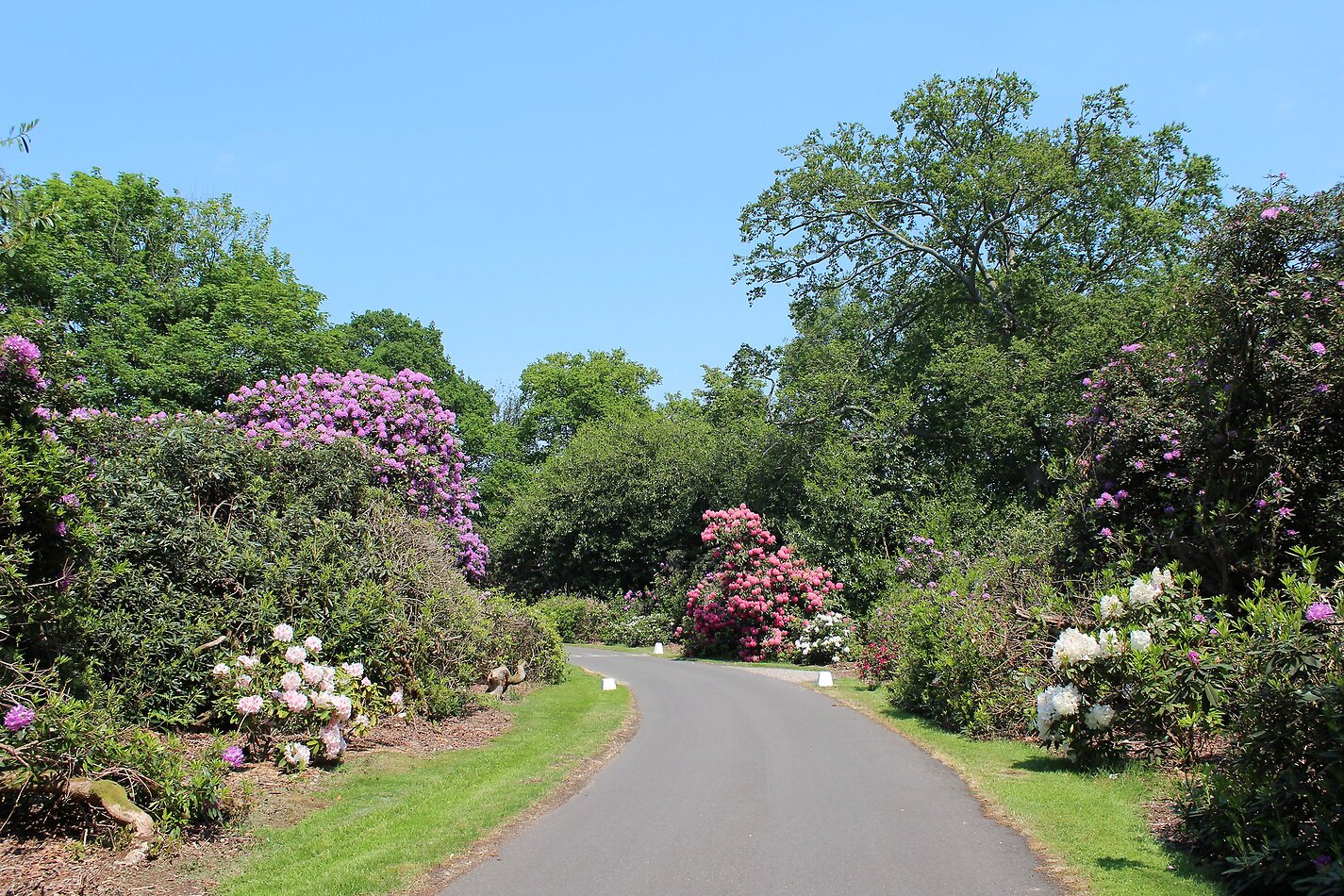 Taplow House - SL6