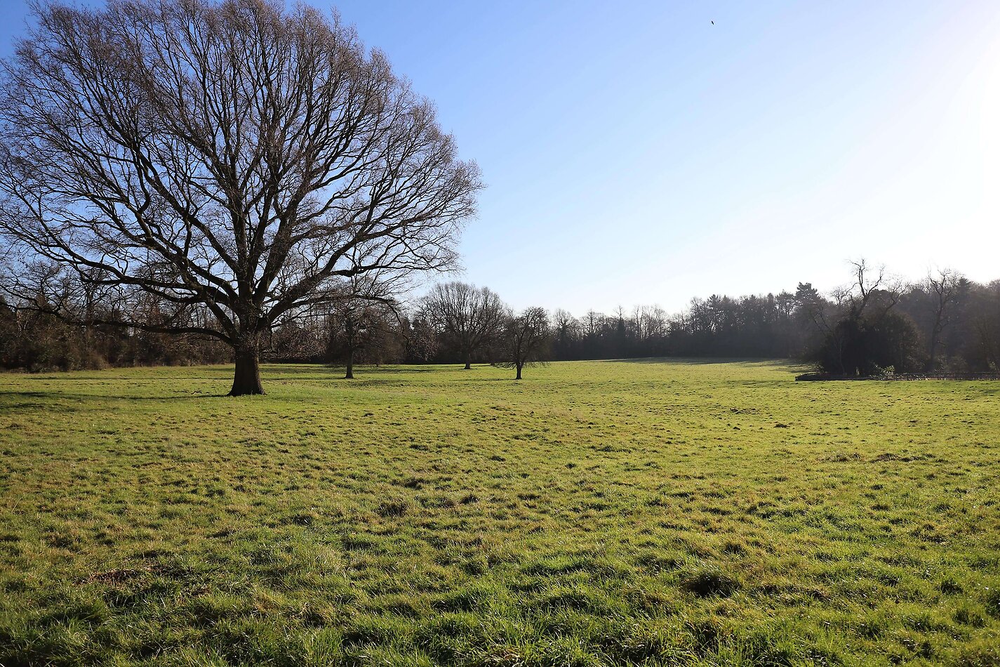 Kenilworth Manor - Solihull