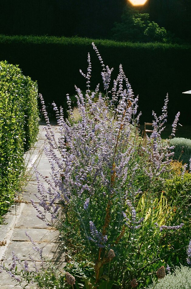 Hilles House - Stroud