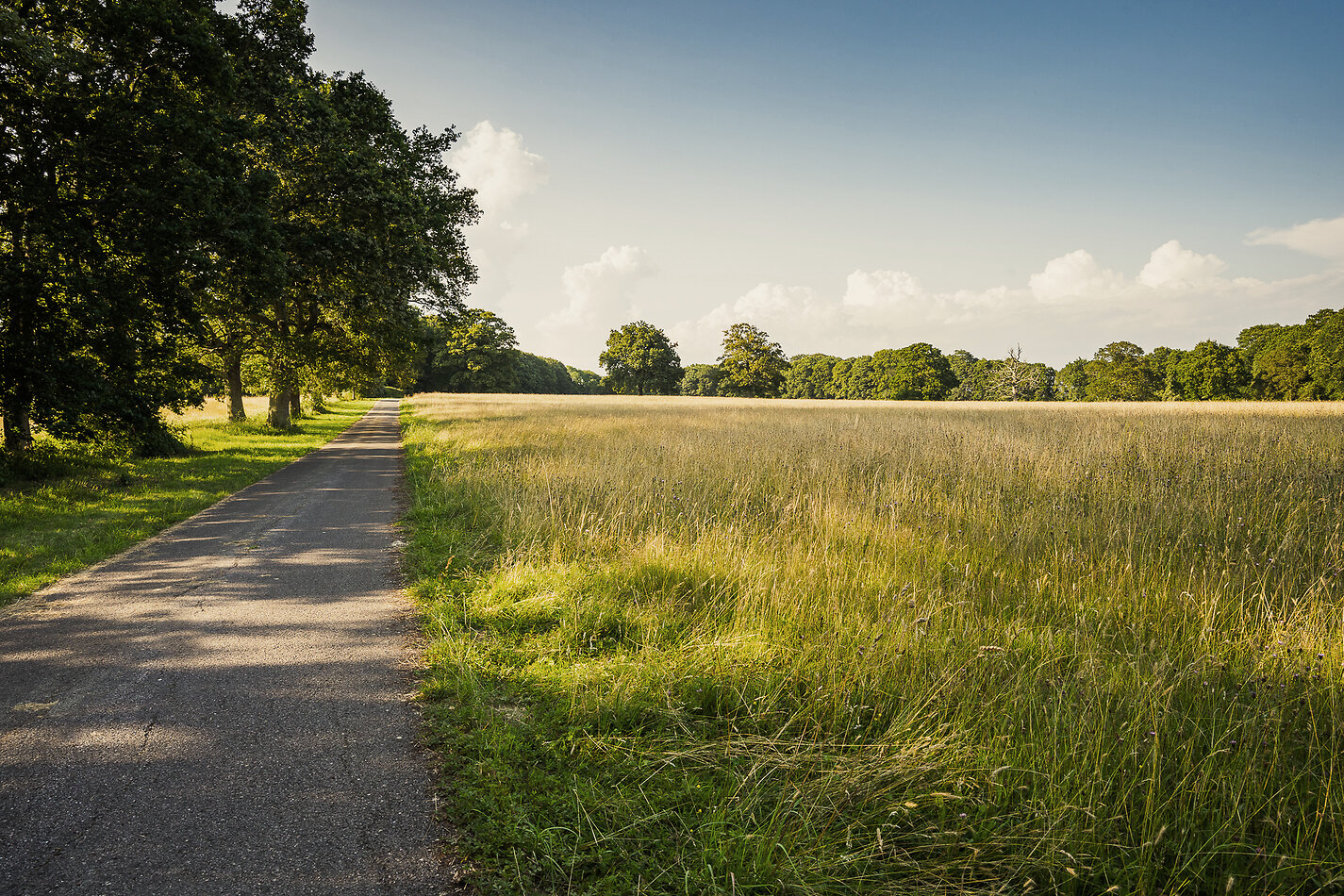 Cornfields Park West Sussex