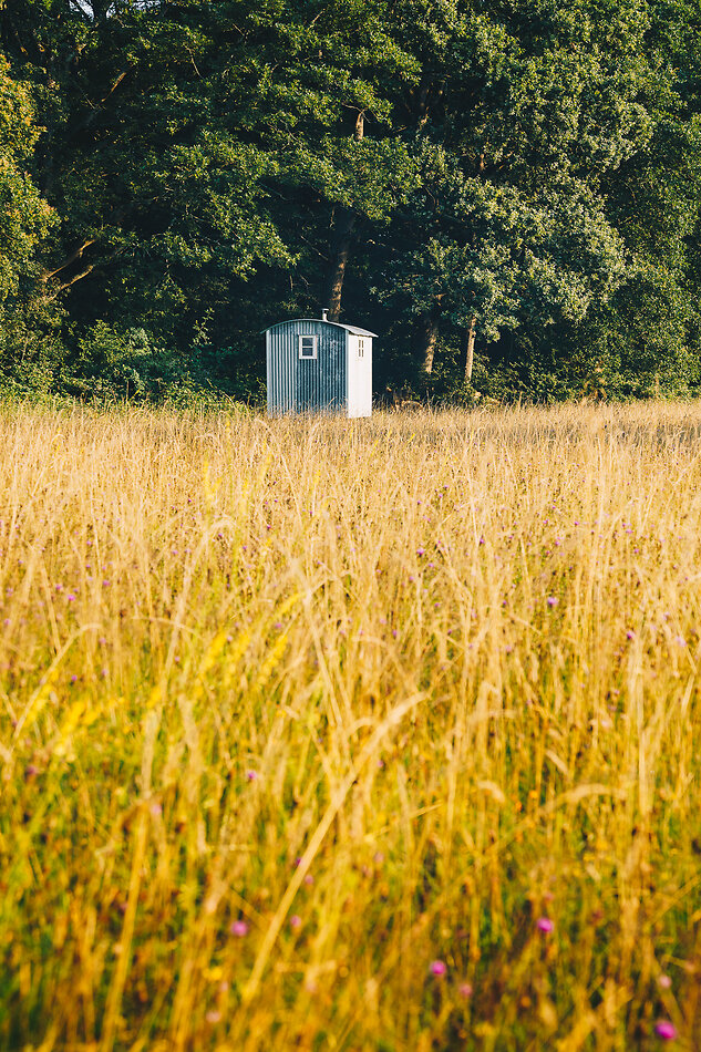 Cornfields Park West Sussex
