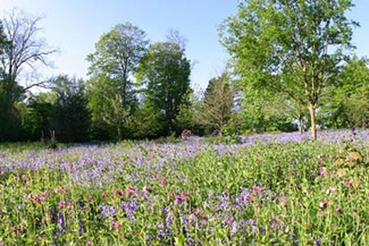 Micklefield Hall Hertfordshire