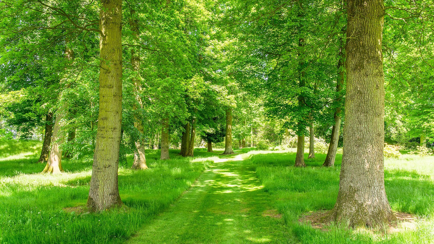 Downton - Shropshire