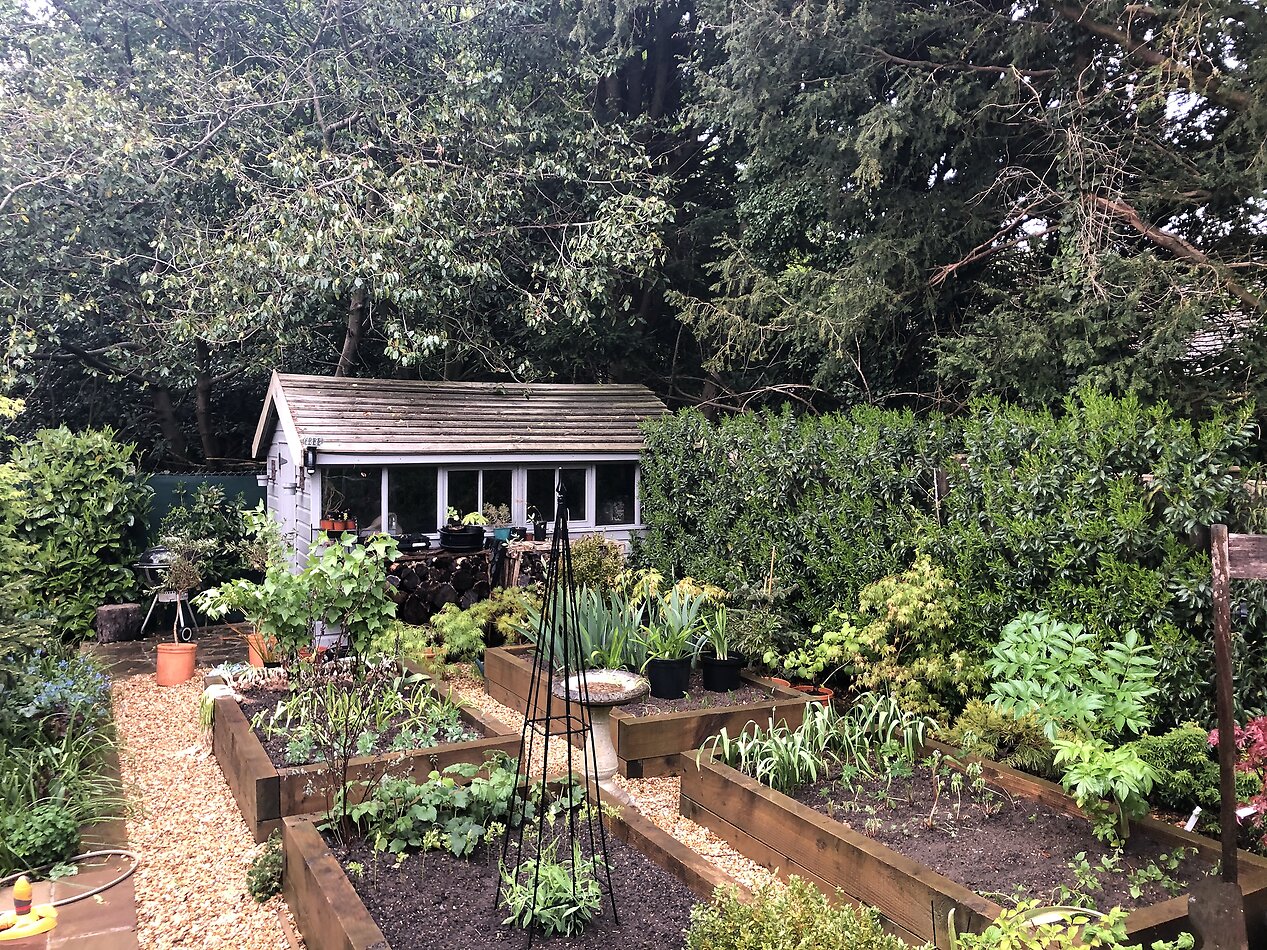 Autumn Manor House Surrey