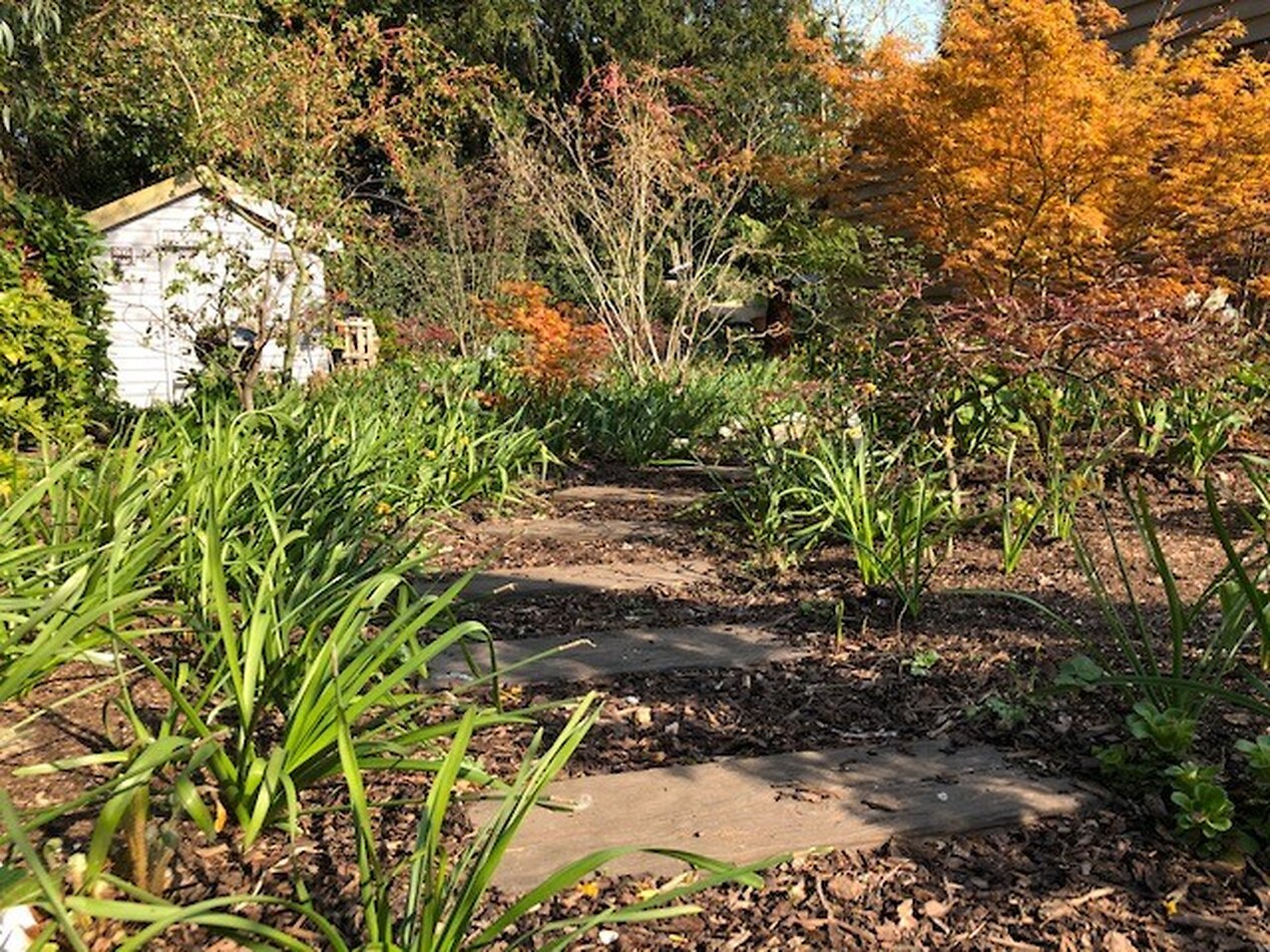 Autumn Manor House Surrey