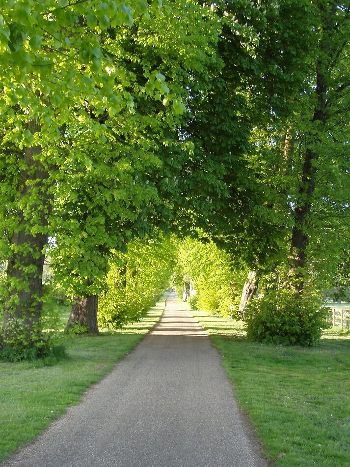 Stately Home Hertfordshire