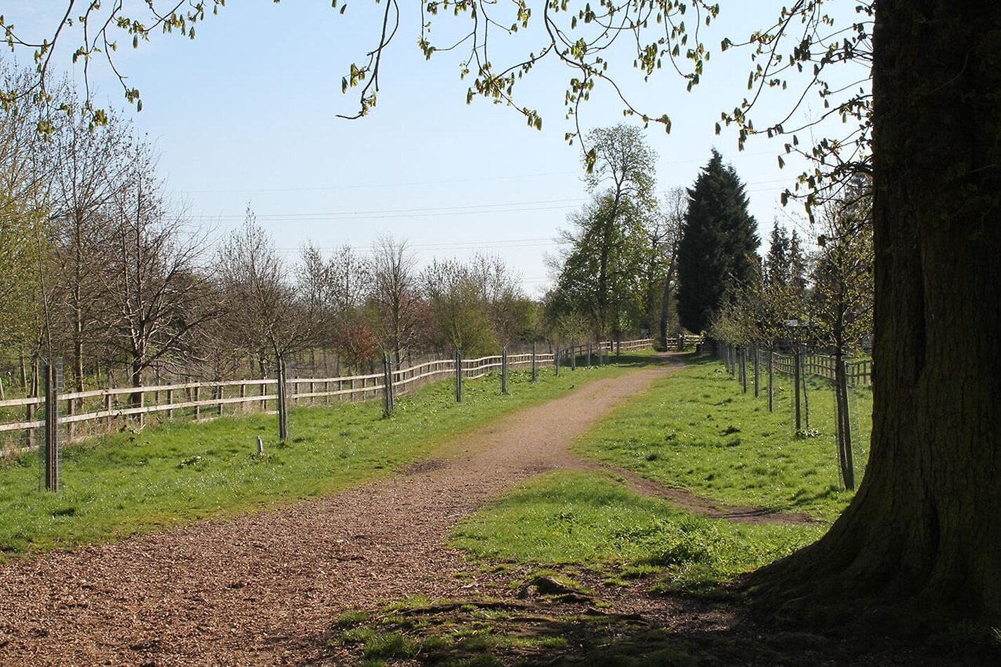Stately Home Hertfordshire