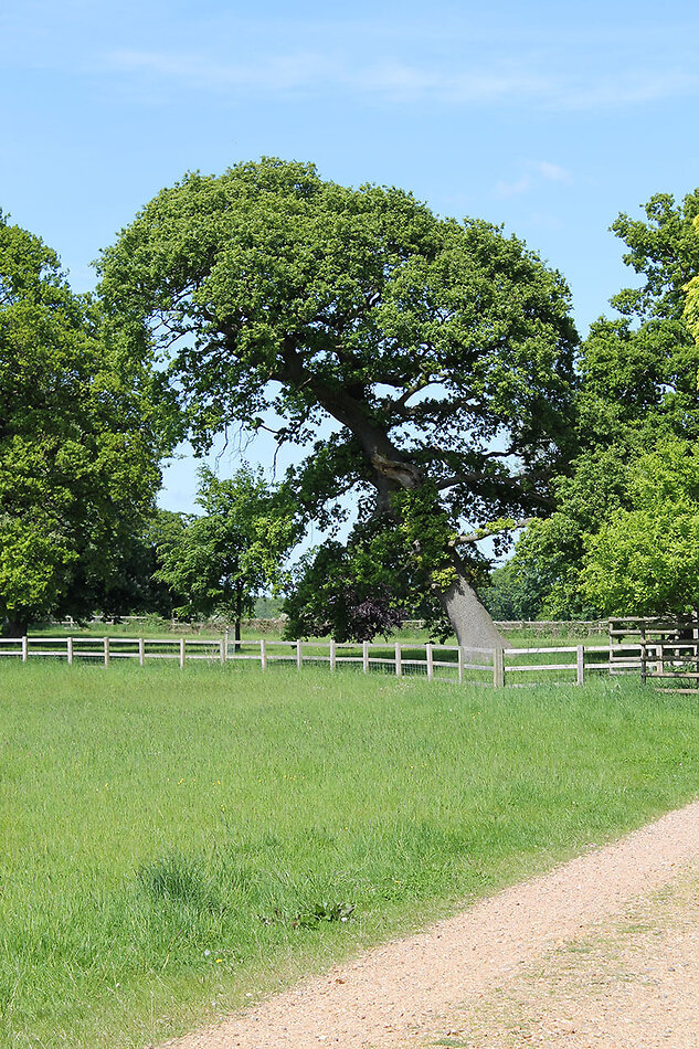 Stately Home Hertfordshire