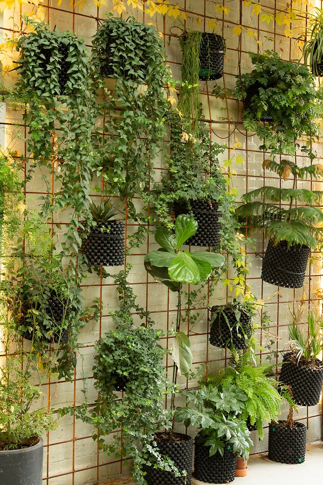 Fern Works - NW2