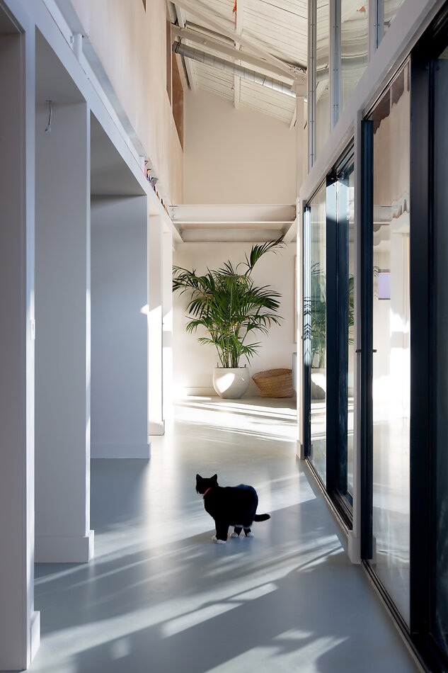 Fern Works - NW2
