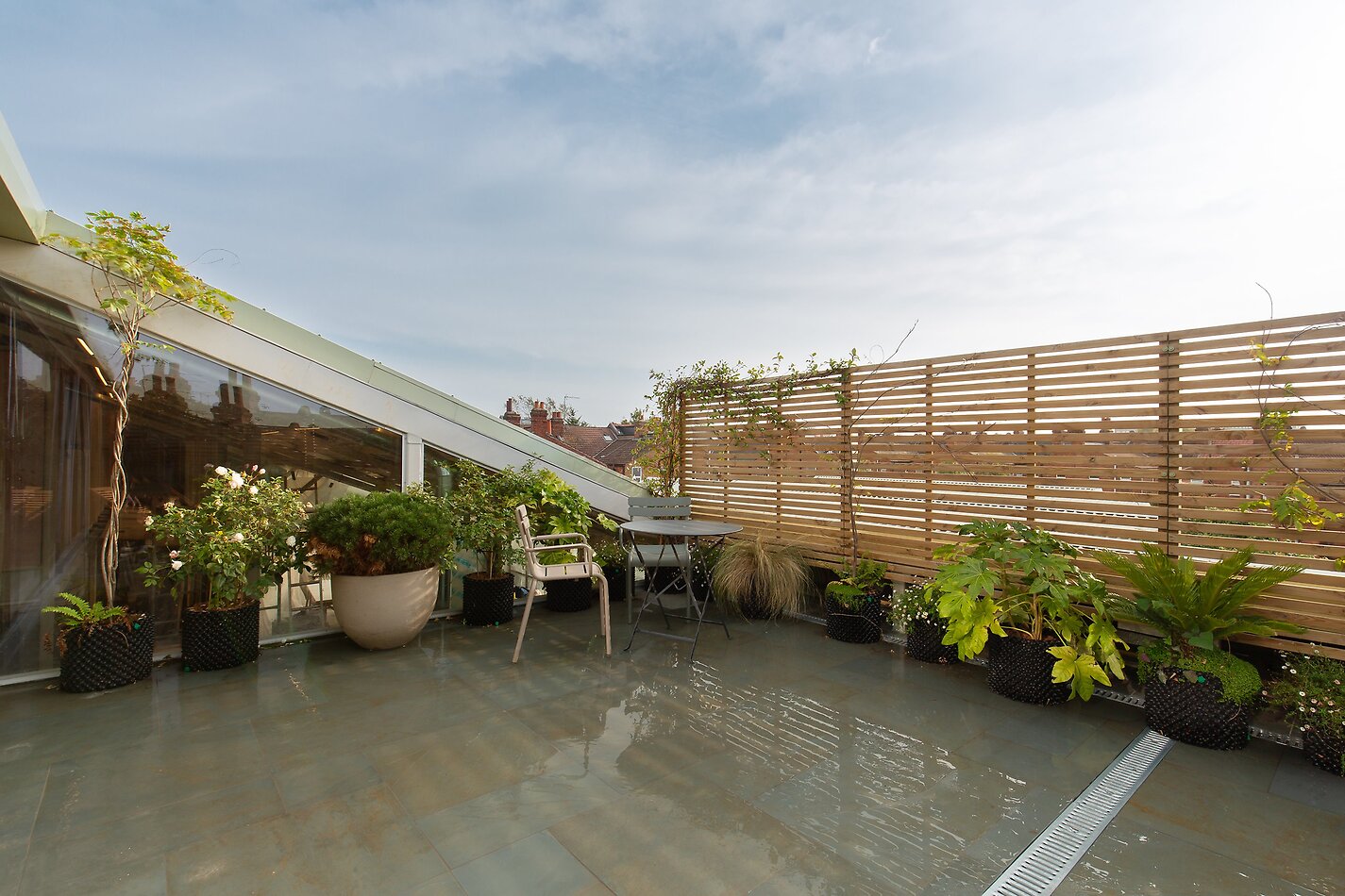 Fern Works - NW2