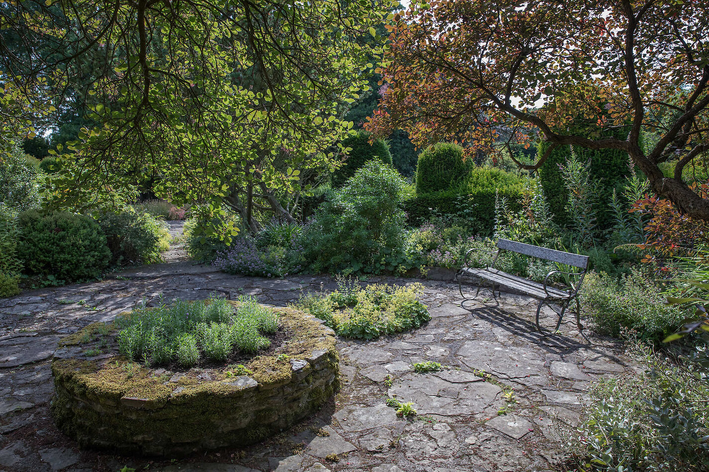 Shropshire Beauty