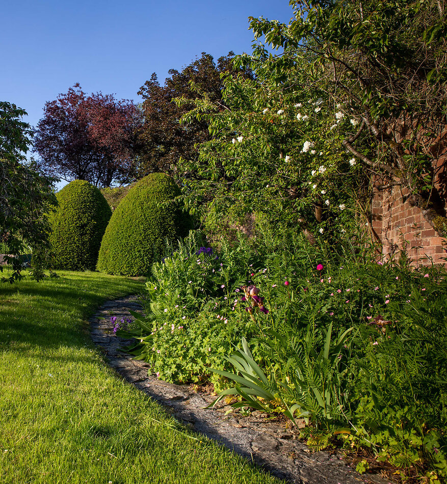 Shropshire Beauty