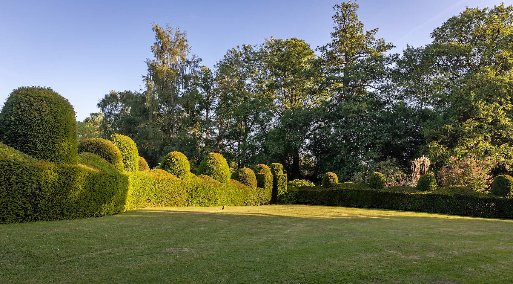 Shropshire Beauty