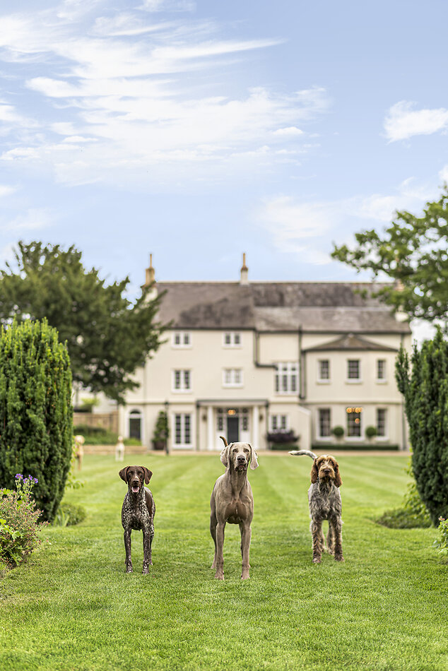 Danes Manor