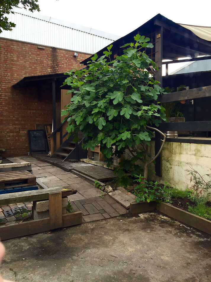 Safe Houses Peckham SE15