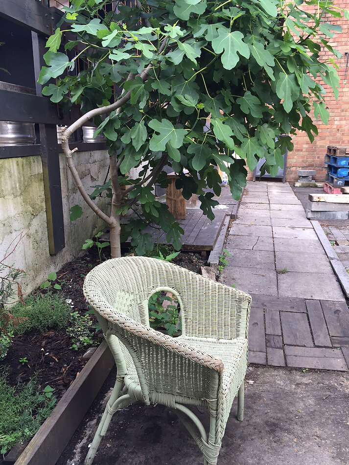 Safe Houses Peckham SE15