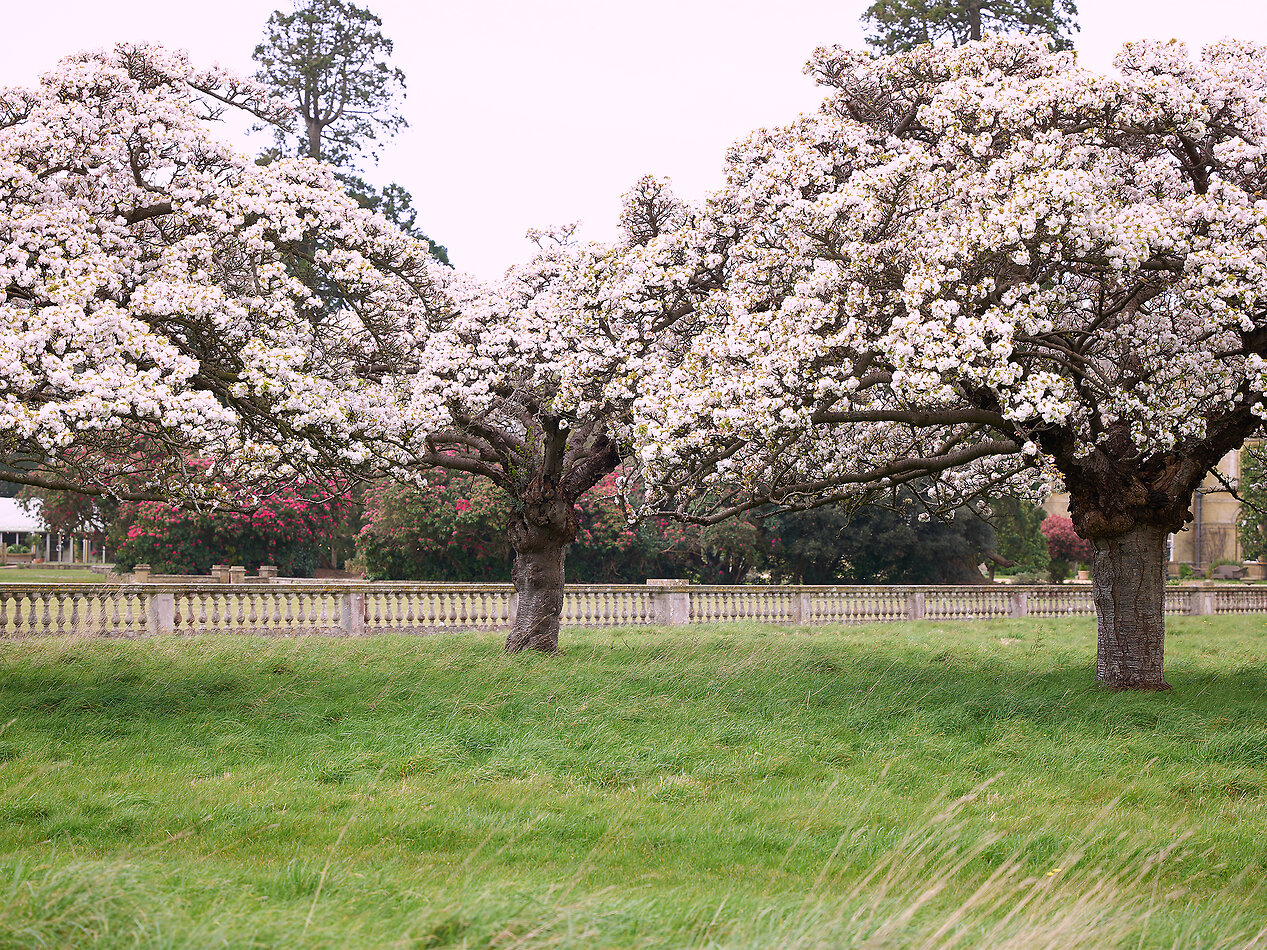 Lymington Park - SO41
