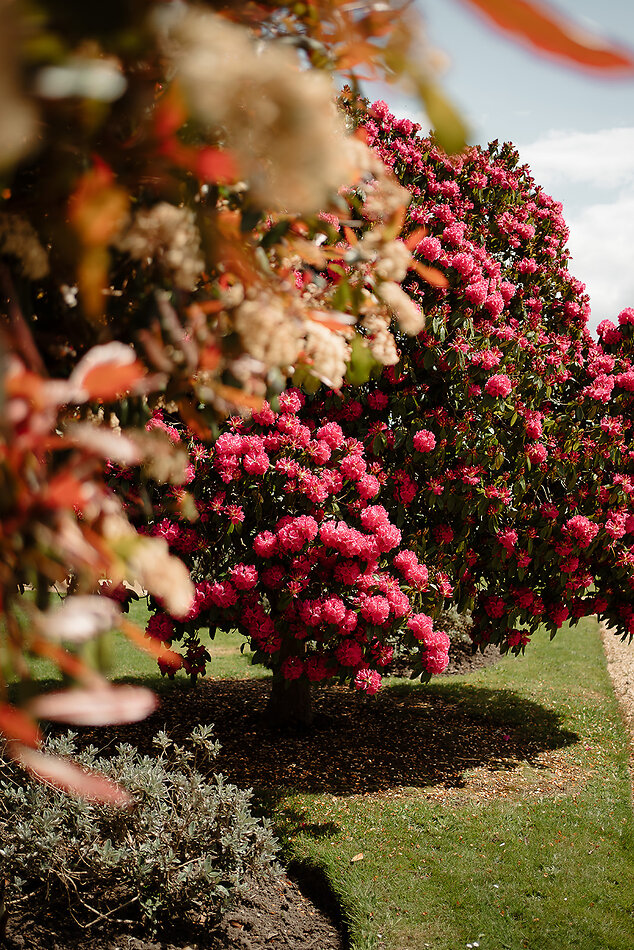 Lymington Park - SO41