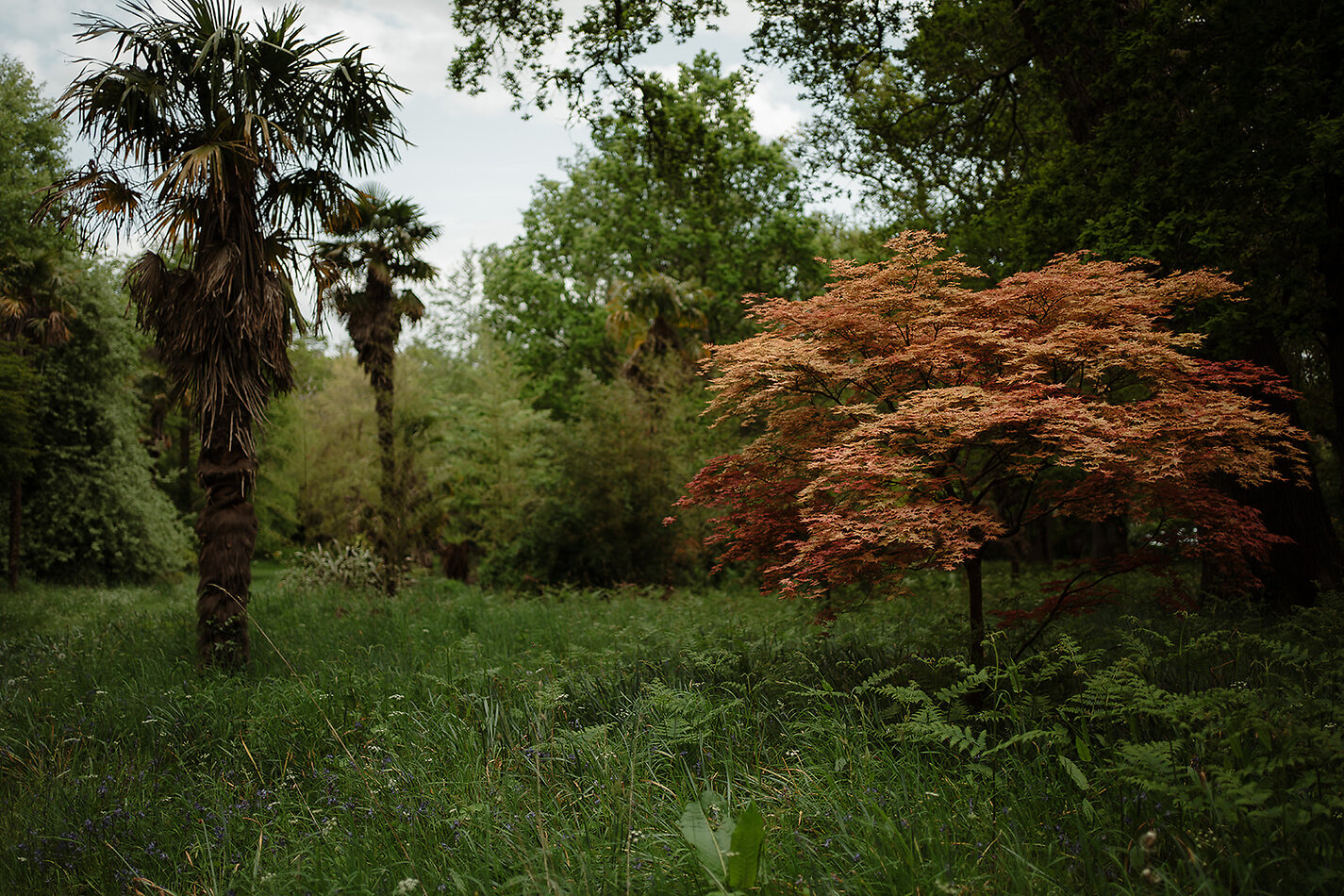 Lymington Park - SO41