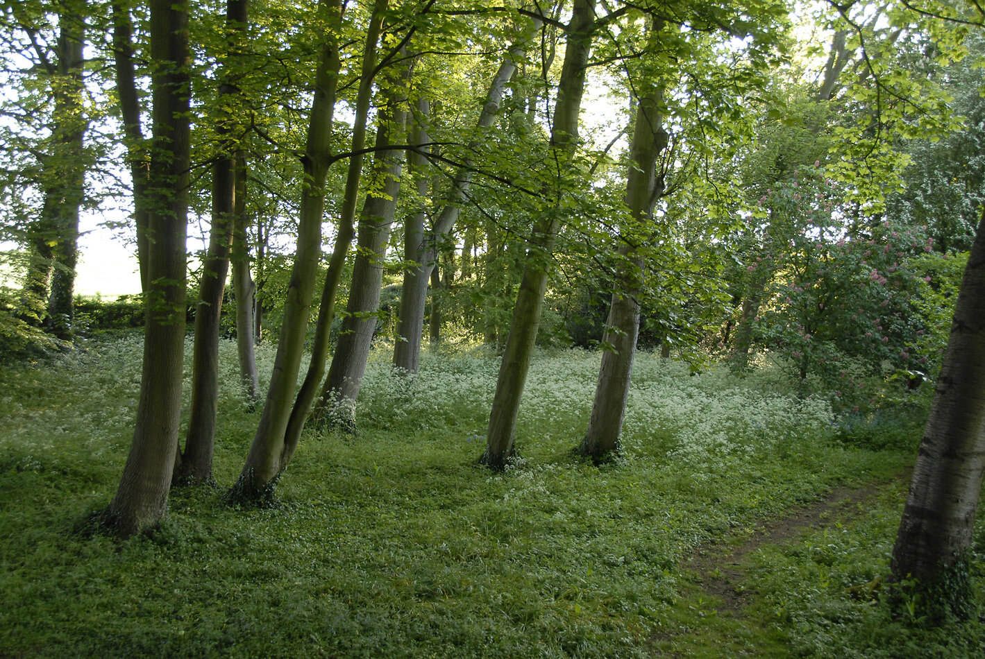 Hill House, Hertfordshire